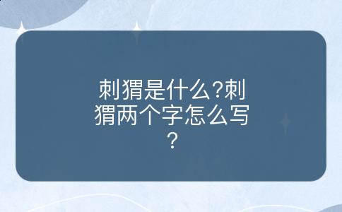 刺猬是什么?刺猬两个字怎么写?