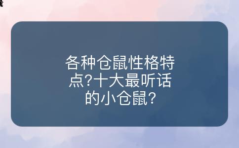 各种仓鼠性格特点?十大最听话的小仓鼠?