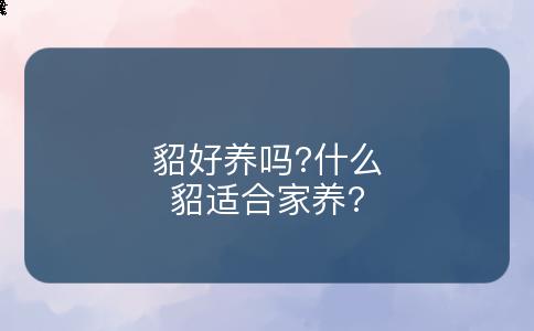 貂好养吗?什么貂适合家养?