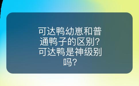 可达鸭幼崽和普通鸭子的区别?可达鸭是神级别吗?