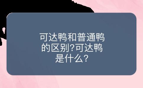 可达鸭和普通鸭的区别?可达鸭是什么?